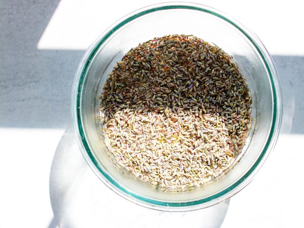 Overhead view of lavender steeping