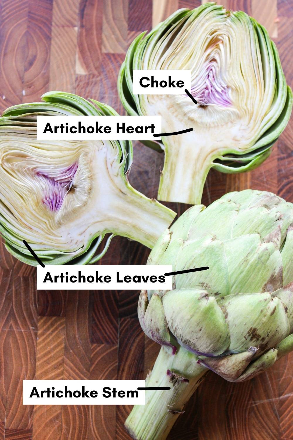 Anatomy of an artichoke