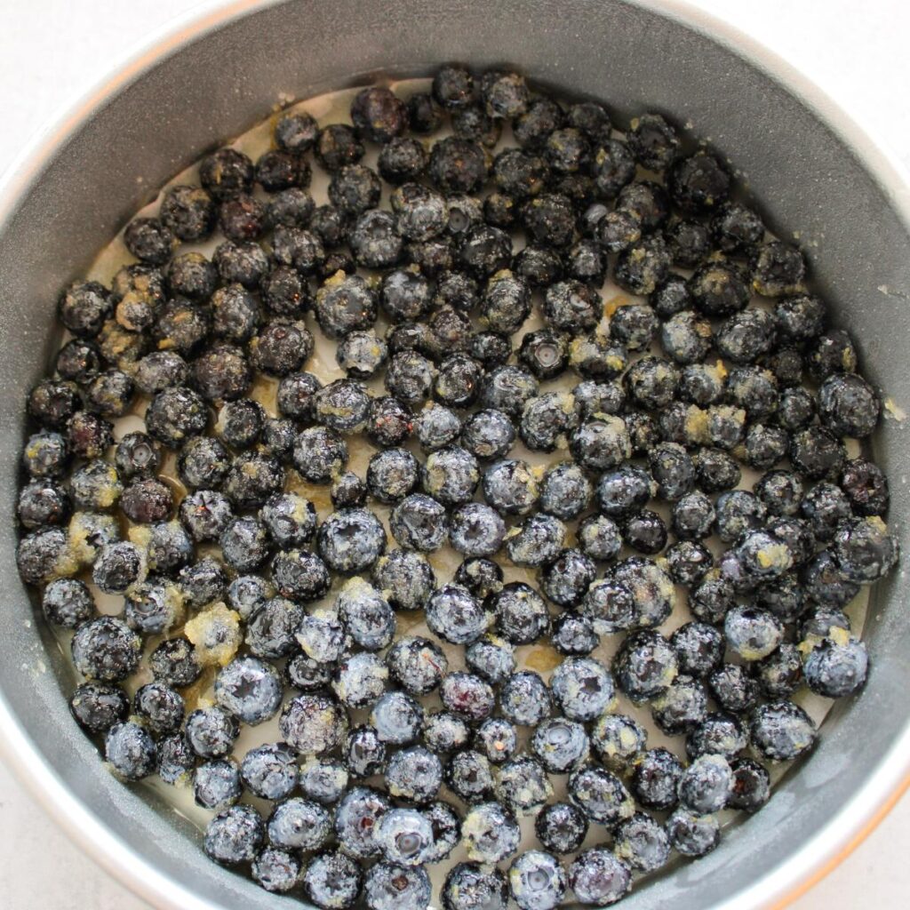 9 inch cake pan with a layer of blueberries with sugar and lemon.